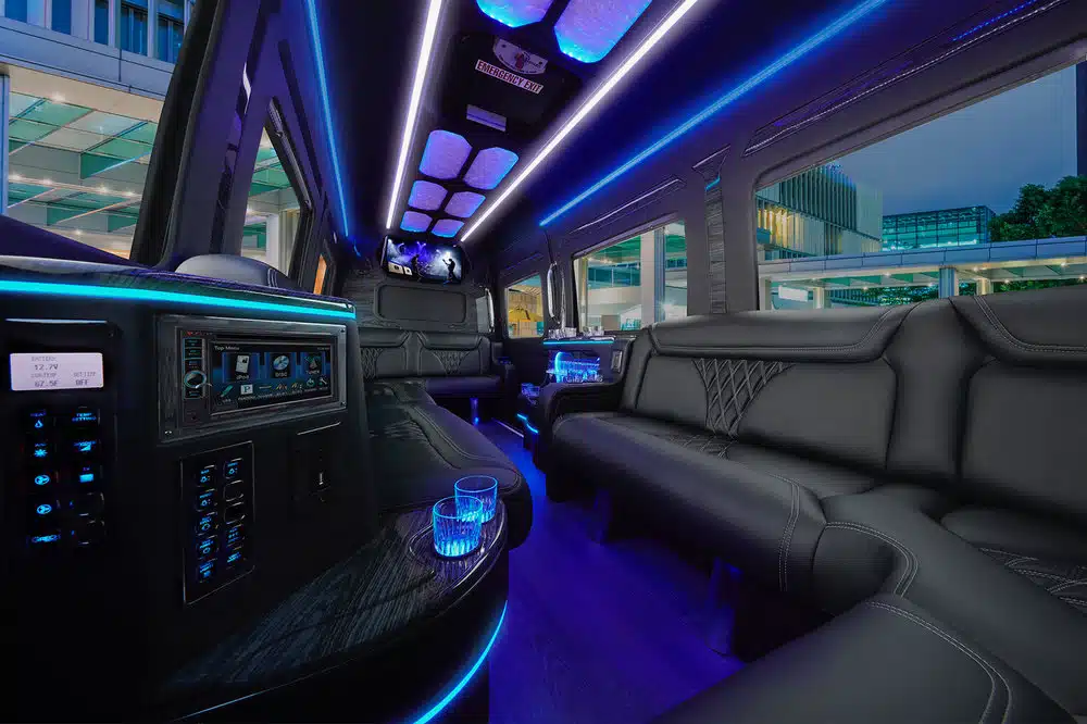 interior party sprinter