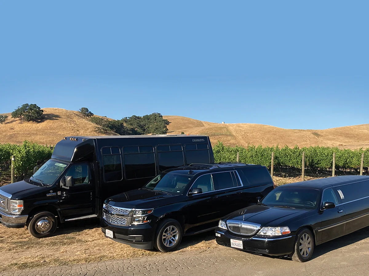 The Ultimate Guide to Wine Tour Transportation: Safety, Itineraries, and Fleet Options